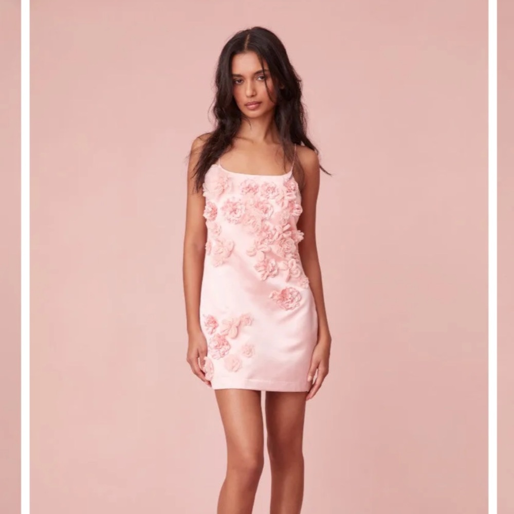 LoveShackFancy Mensa Dress Rose Champagne
